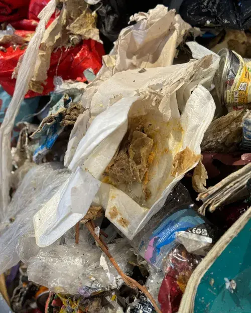 Food waste within Recycling Load