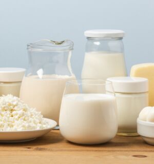 Cheese milk and eggs in containers, lined up in a row