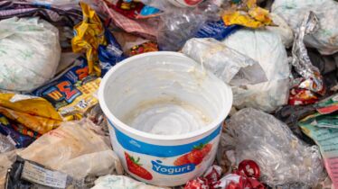 Contaminated Yoghurt pot