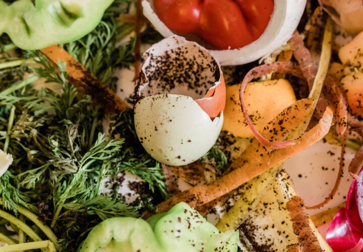 Food waste - egg shells and potato peelings