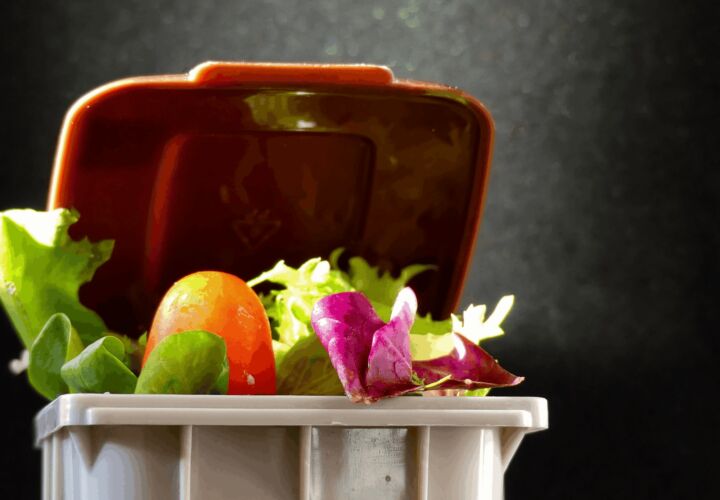 Food waste in a wheelie bin