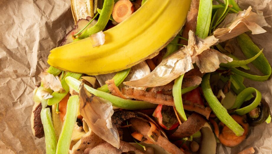 Food waste - banana skin and vegetable peelings